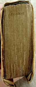 Egnatius1554: tranche de tête